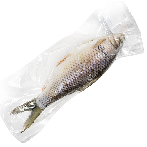 Dace_(Mud_Carp)_H/O_Gutted_IVP_02