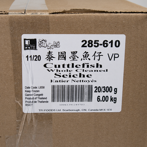 Cuttlefish_whole_cleaned_04